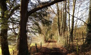 Portail gesvois Accueil